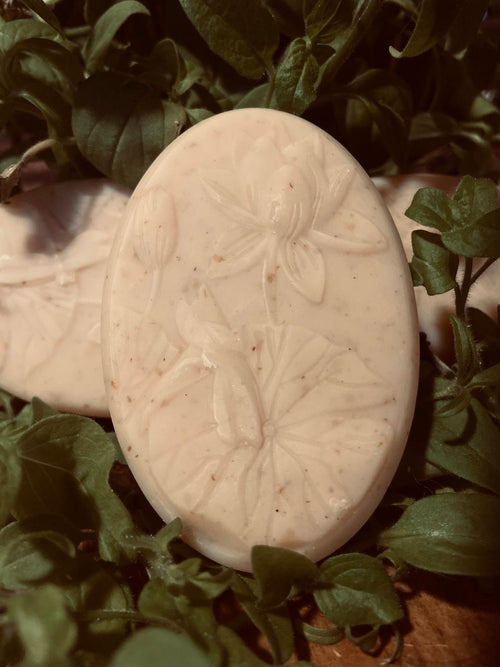 Face Bar Goat Milk Soap